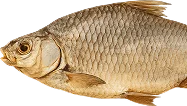 /img/catalog/dried-fish.webp